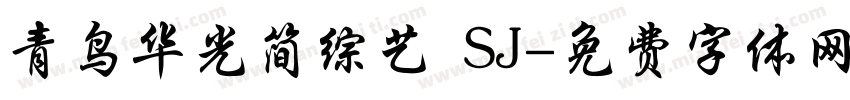 青鸟华光简综艺 SJ字体转换